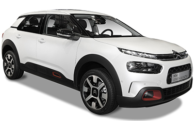 imagem do modelo C4 CACTUS